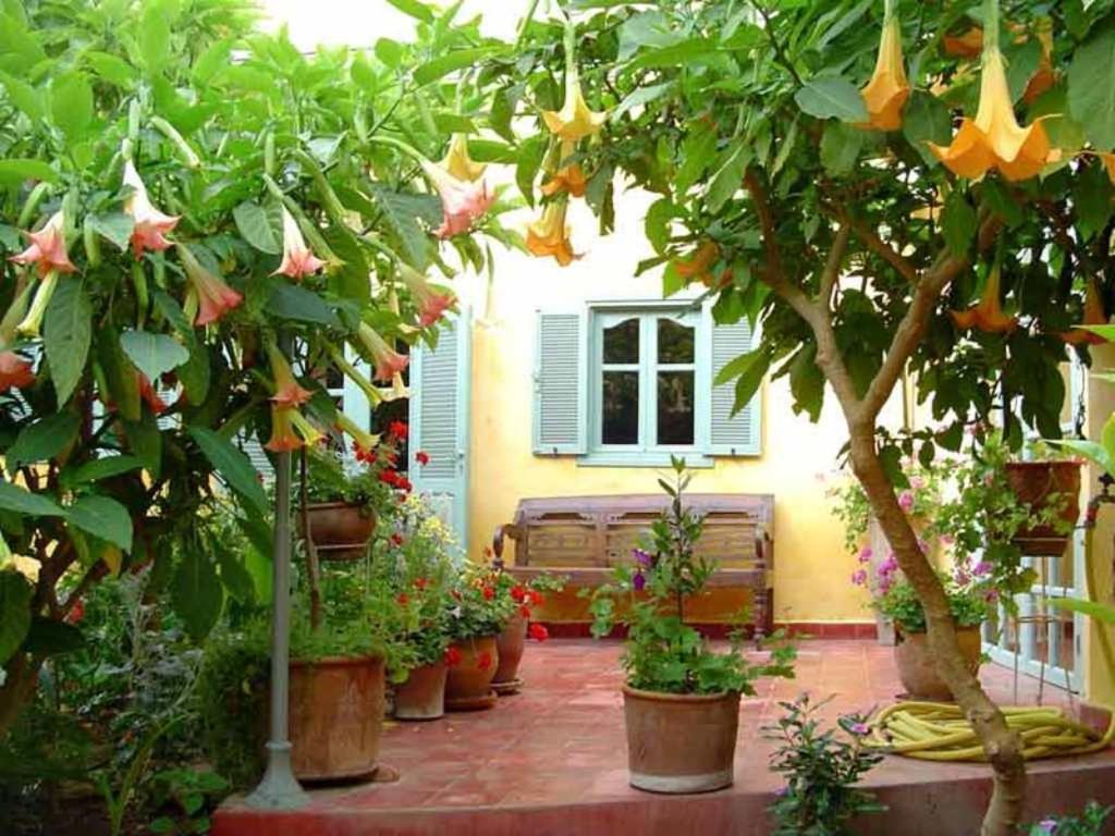 Bed and Breakfast Dar Beldi Уалидия Экстерьер фото