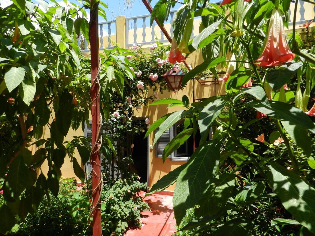 Bed and Breakfast Dar Beldi Уалидия Номер фото